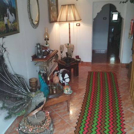 Karafil Guesthouse Gjirokastër Exteriör bild