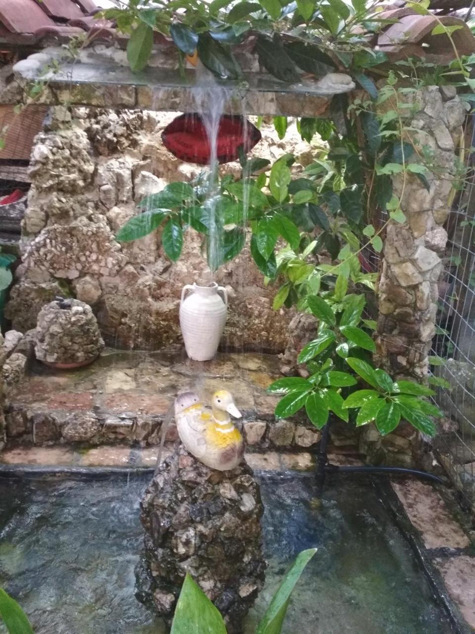 Karafil Guesthouse Gjirokastër Exteriör bild
