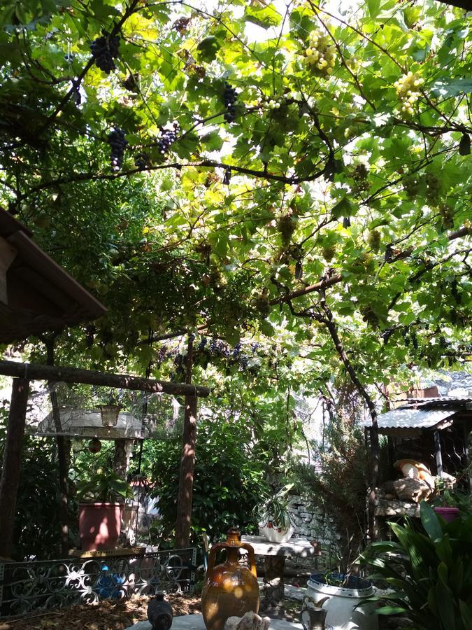 Karafil Guesthouse Gjirokastër Exteriör bild